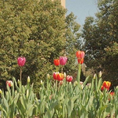 真人斗牛牛最新版下载手机版