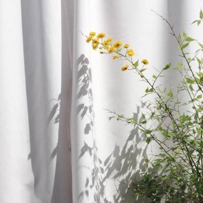 乐鱼app下载下载手机版截图